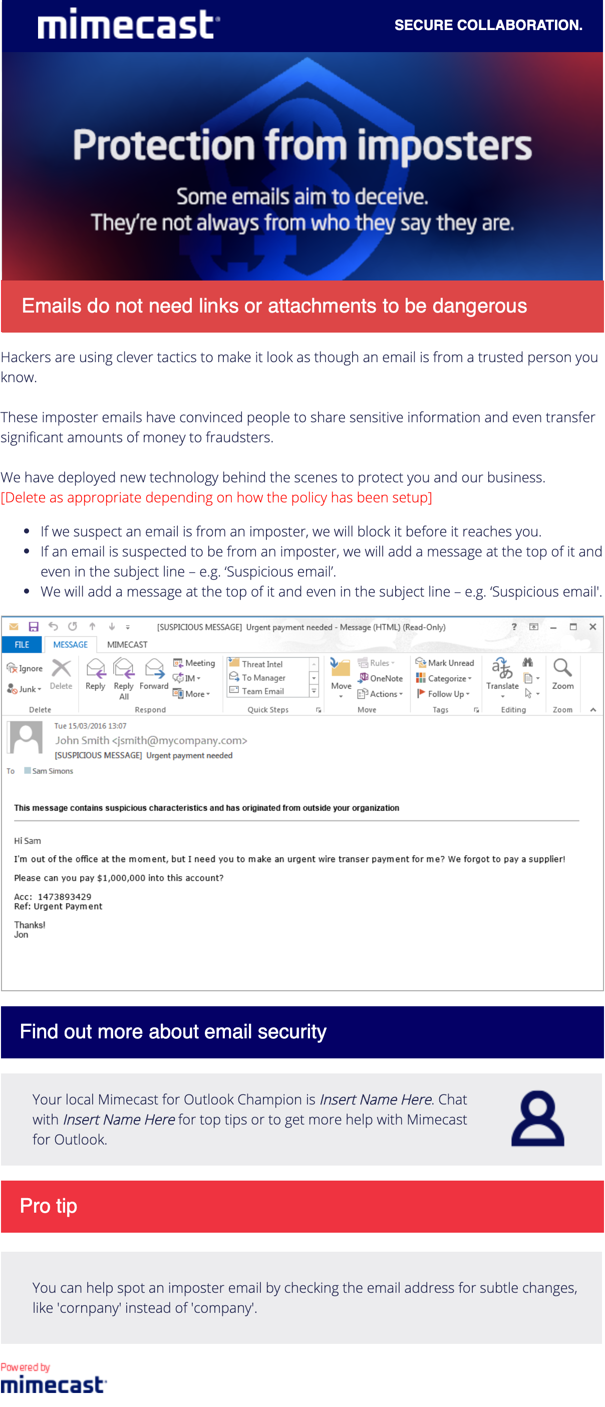 TTP04 - Impersonation Protect.png