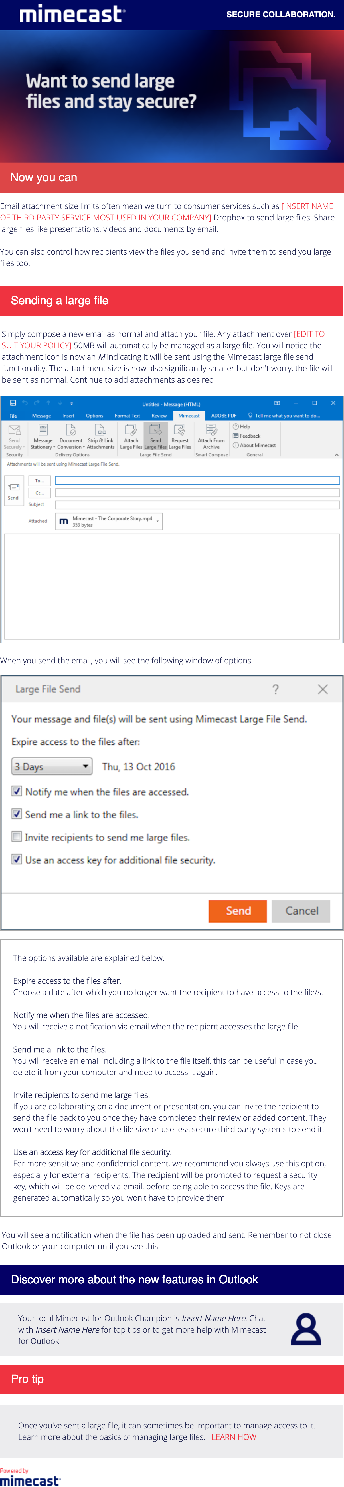 MFO-03-Large File Send.png