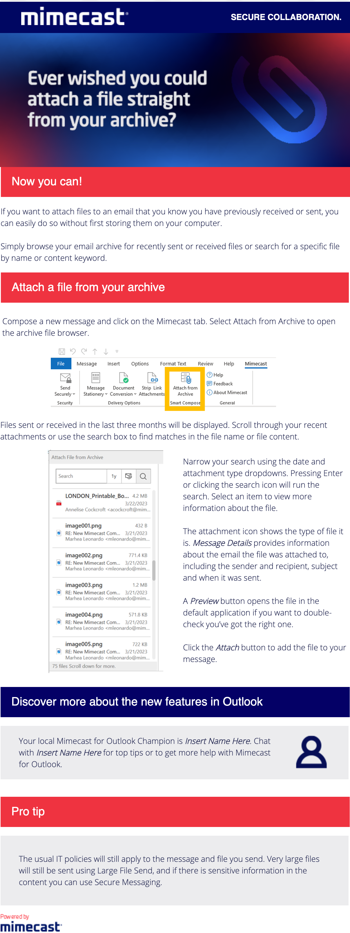 MFO-06-Attach from Archive.png