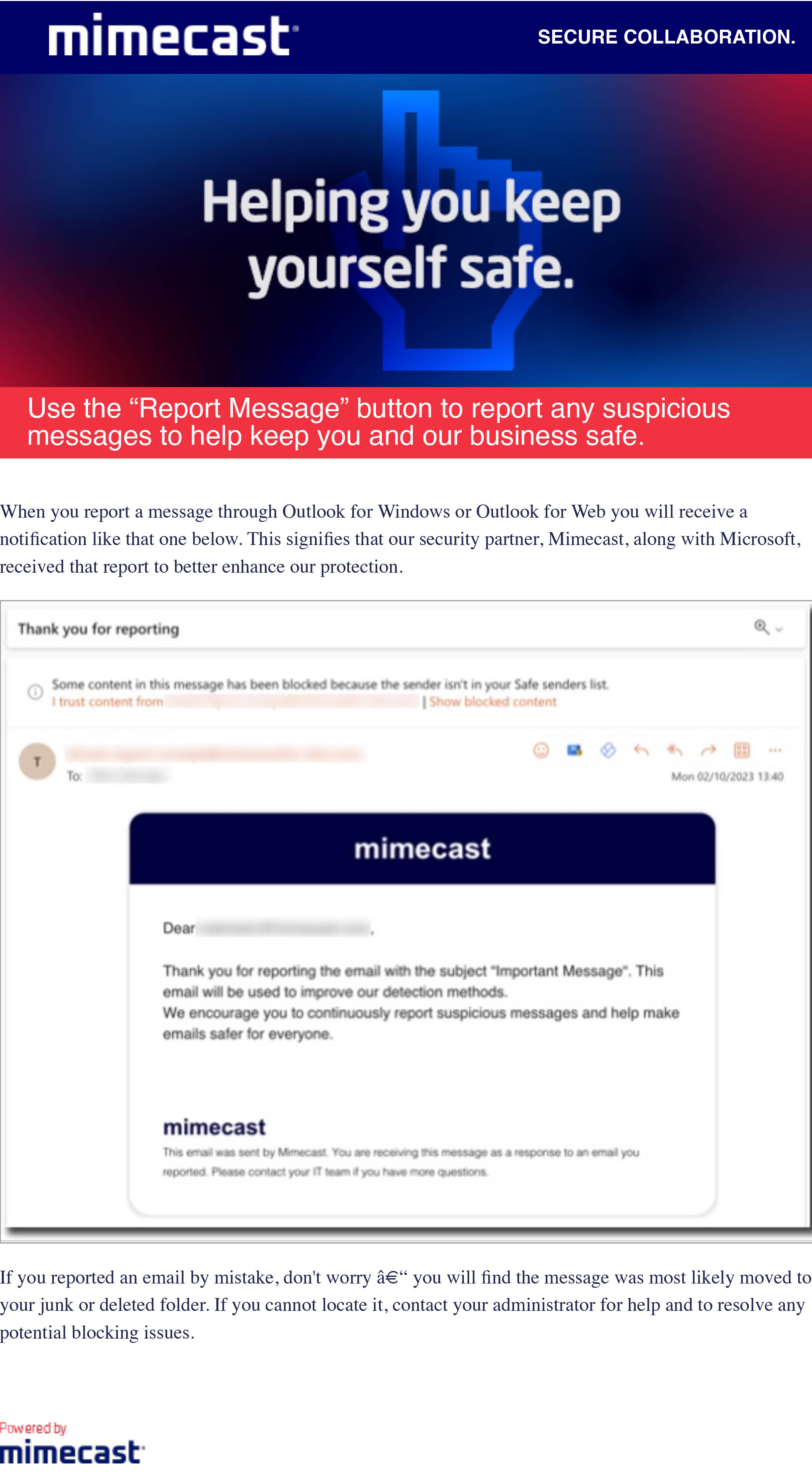 Email-Security-Reporting a Message - eShot.jpg