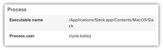 Forensic Search results - process event details