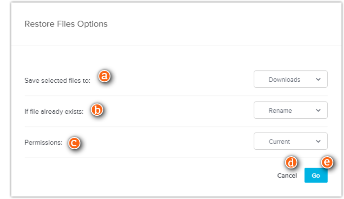 Restore Files Options