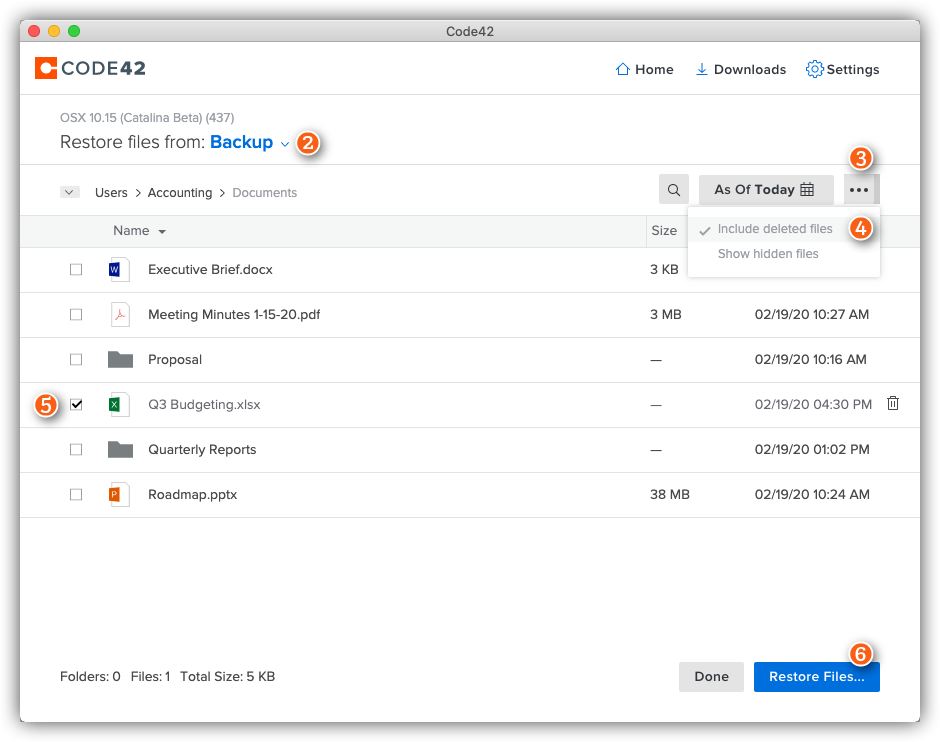 Restore deleted files