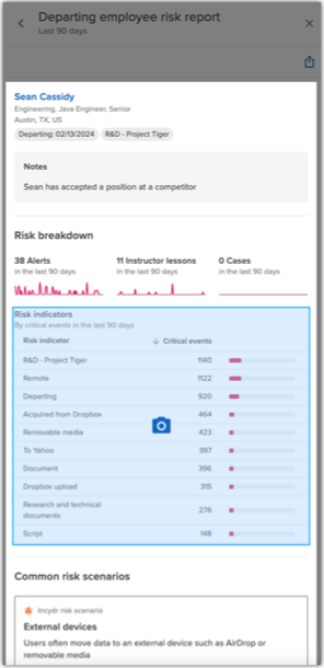 Export a section of the risk report