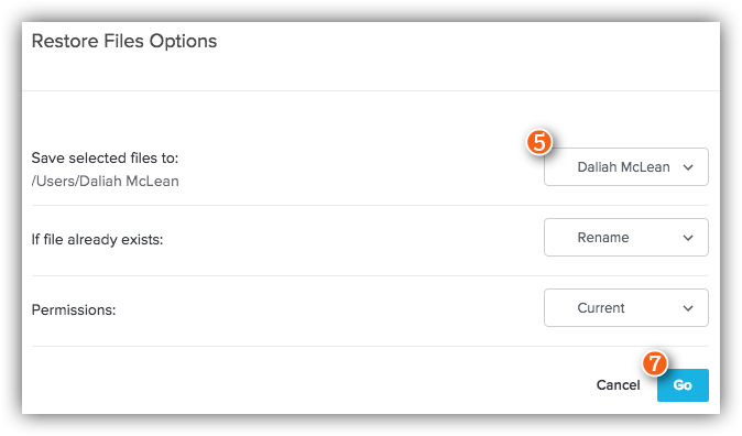 Restore Files Options