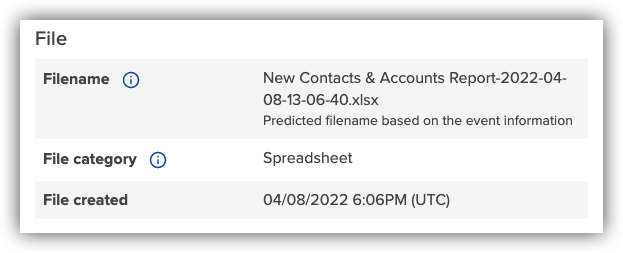Salesforce report filename details in Forensic Search