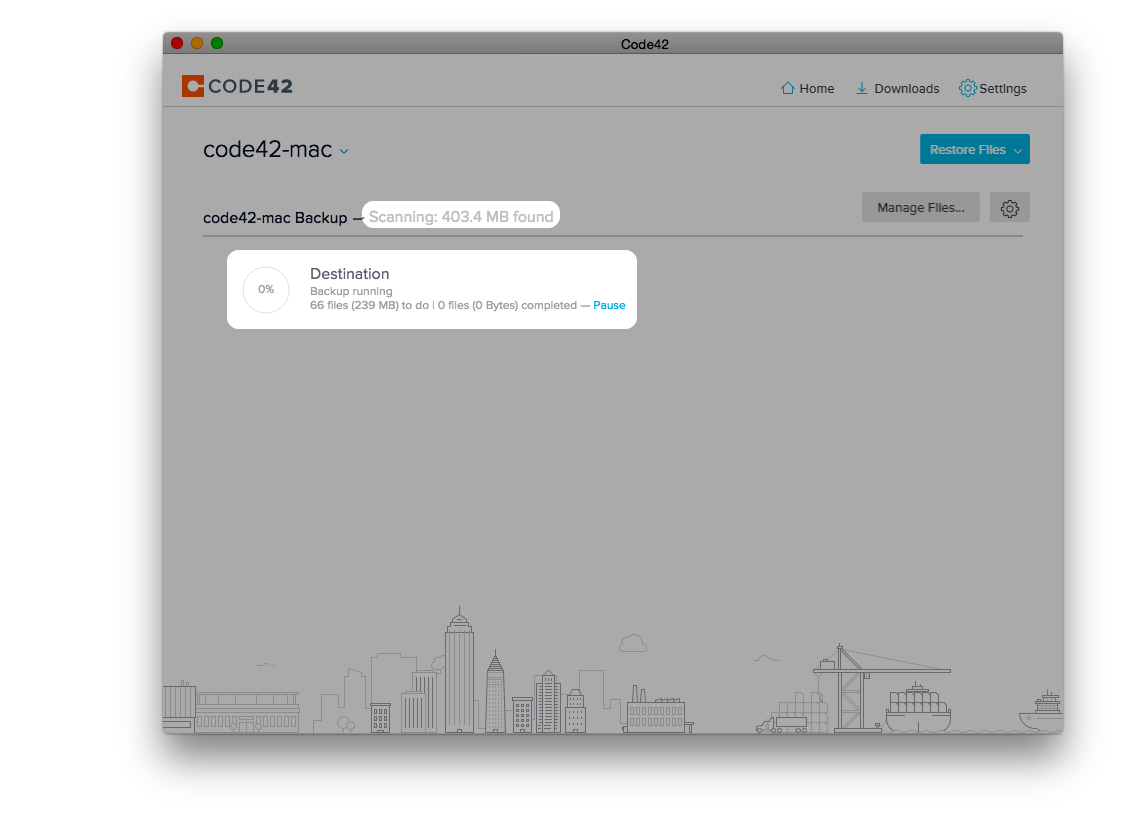File verification scan