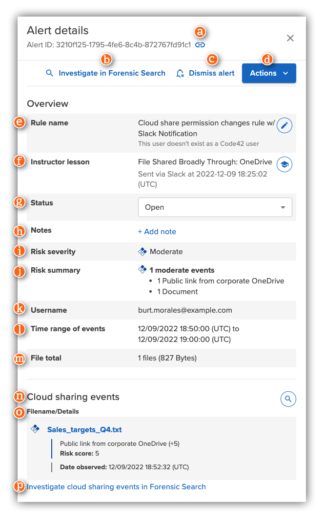 Alert details with annotations