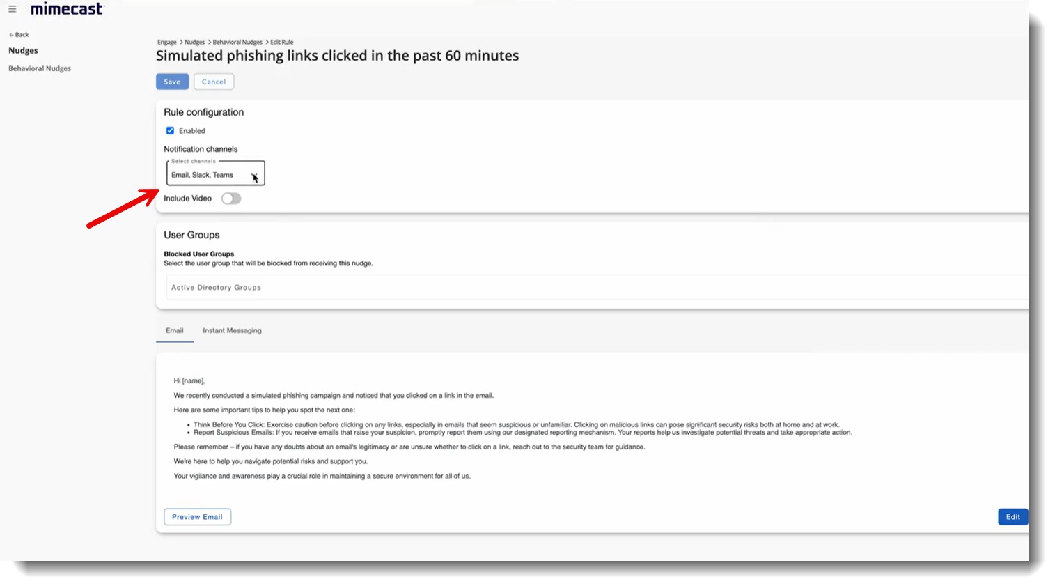 Edit screen for amending a saved Nudge, highlighting Notification channels field