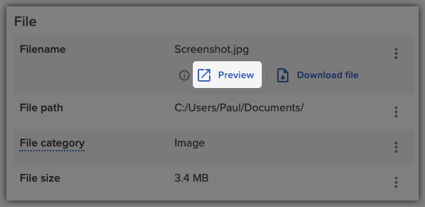 Highlighted file preview button in the event details
