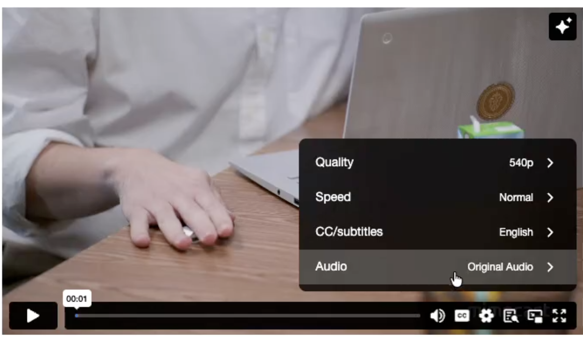 VimeoPlayer2.png